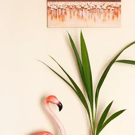 Flamingo Apartment