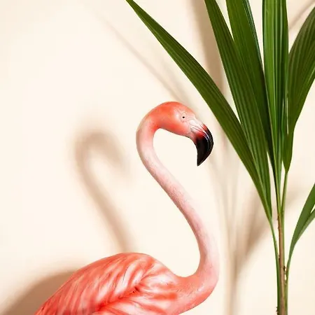 Flamingo Malaga